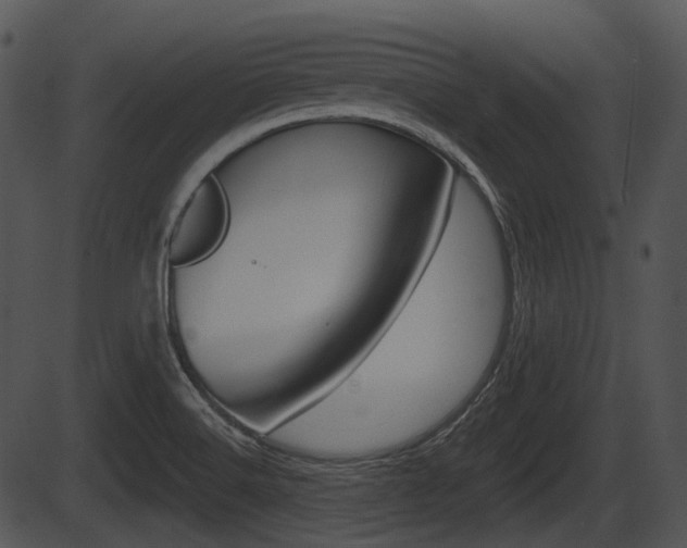 X0000087511516200704270741