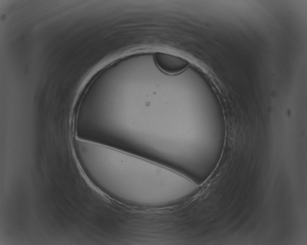 X0000087511519200704270741