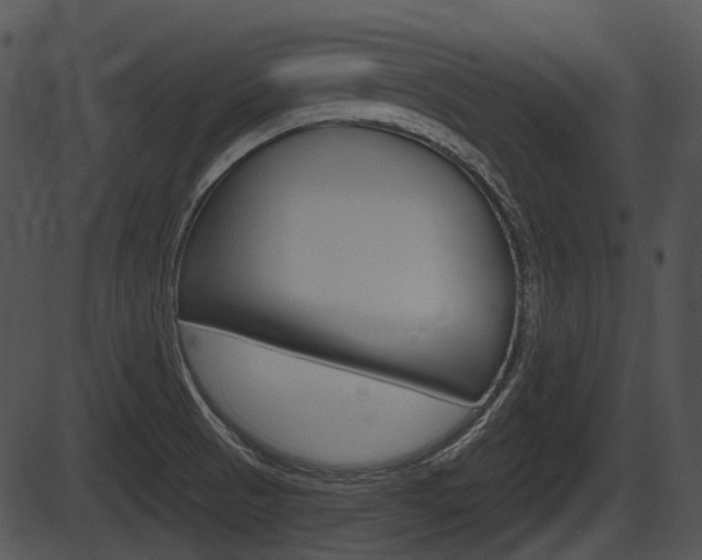 X0000087511521200704270741