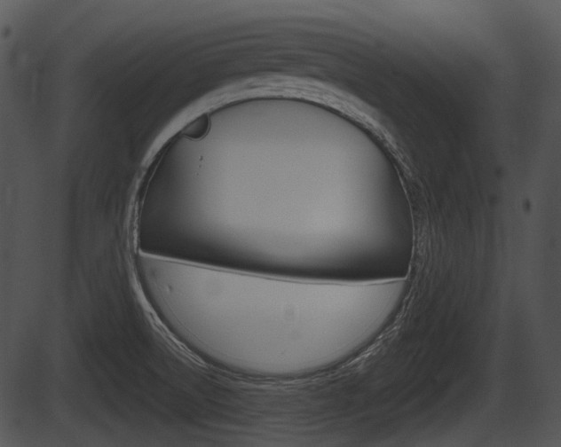 X0000087511522200704270741