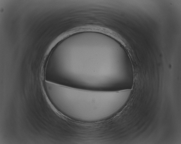 X0000087511523200704270741