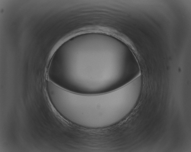 X0000087511524200704270741