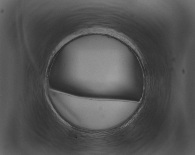 X0000087511525200704270741