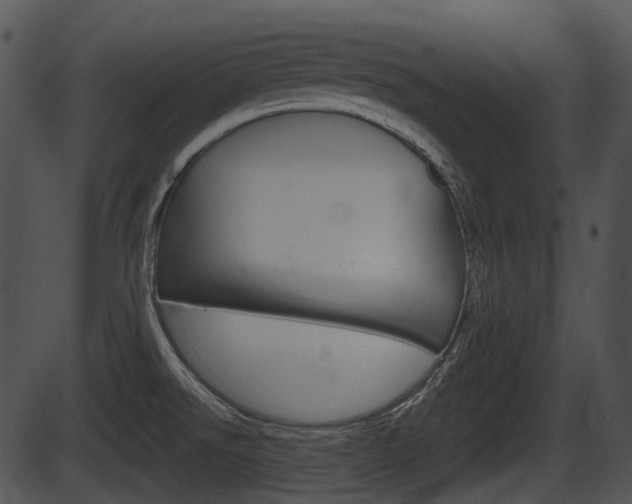 X0000087511526200704270741