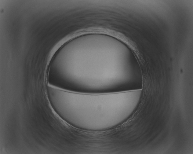 X0000087511527200704270741