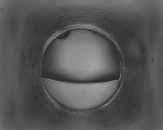 X0000087511529200704270741