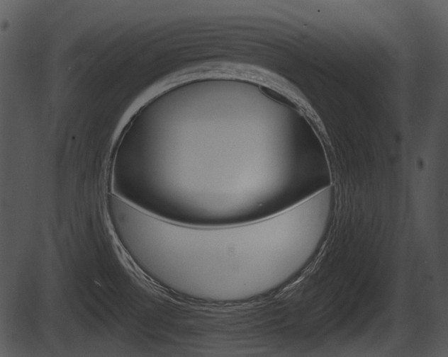 X0000087511530200704270741