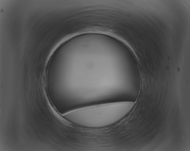 X0000087511531200704270741