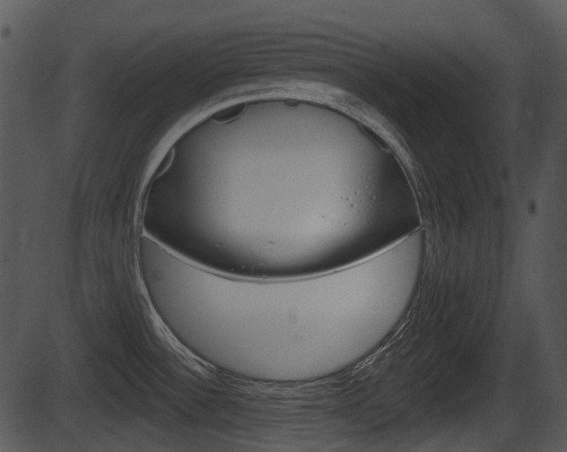 X0000087511532200704270741