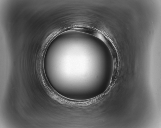 X0000087510001200704271131