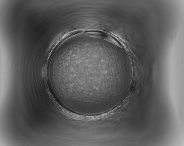 X0000087510002200704271131
