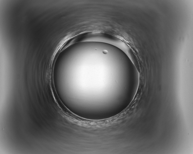 X0000087510003200704271131