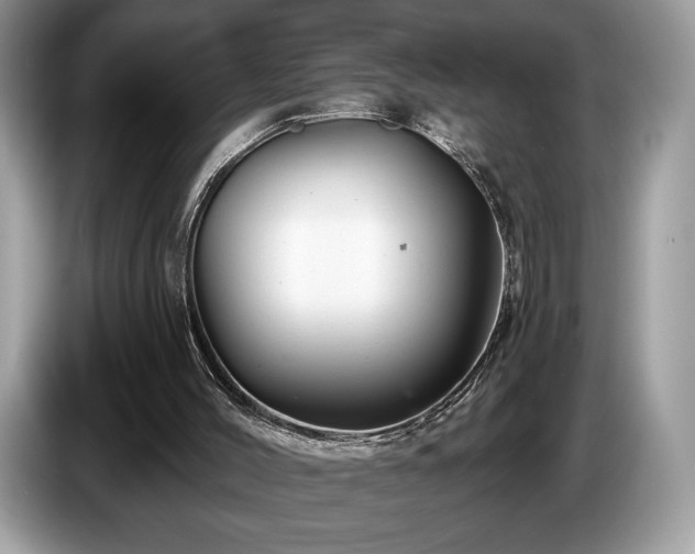 X0000087510004200704271131