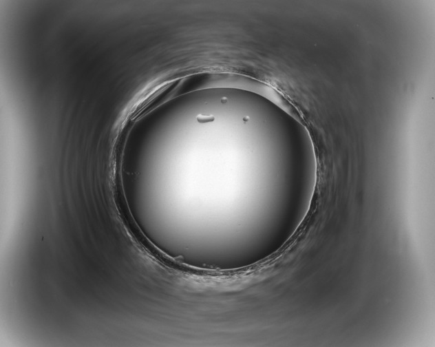 X0000087510005200704271131