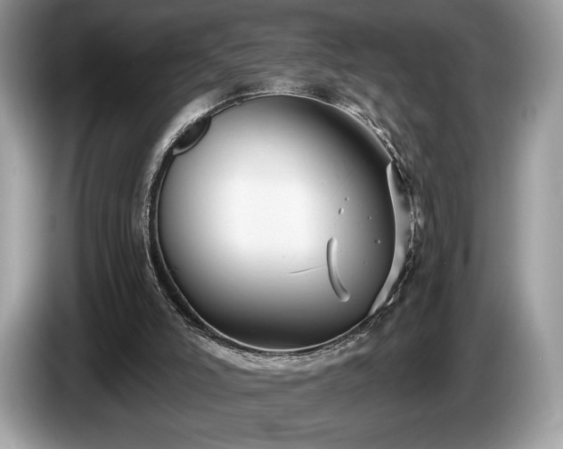 X0000087510006200704271131