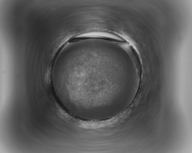 X0000087510009200704271131