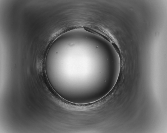 X0000087510010200704271131