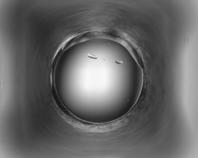 X0000087510011200704271131