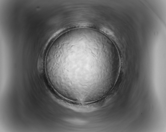 X0000087510012200704271131