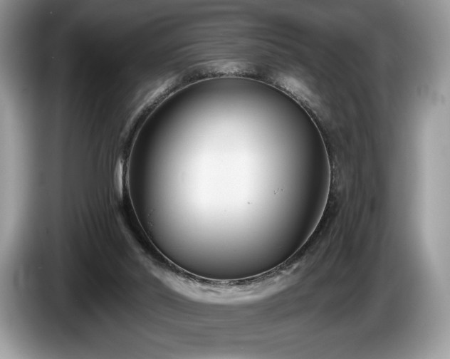 X0000087510014200704271131