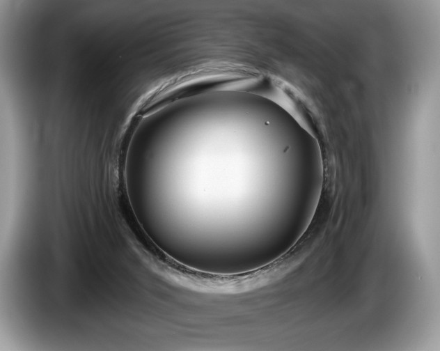 X0000087510015200704271131