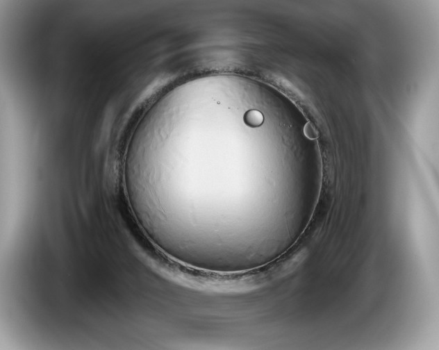 X0000087510016200704271131