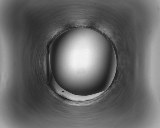 X0000087510017200704271131