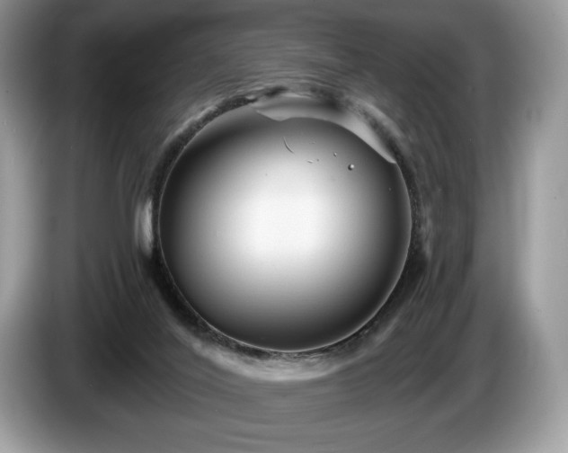 X0000087510020200704271131