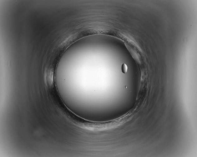 X0000087510021200704271131