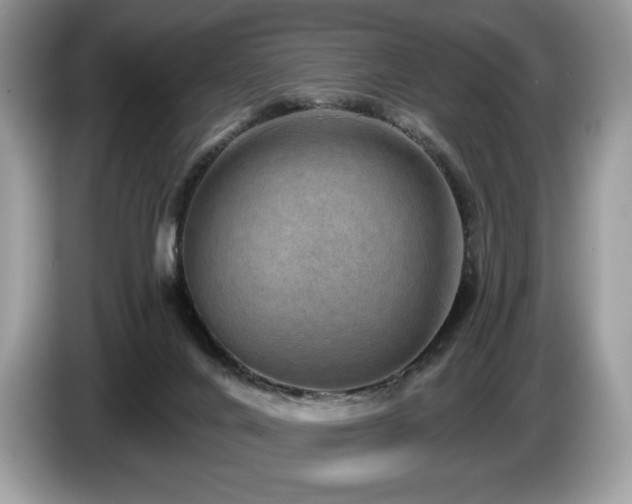 X0000087510024200704271130