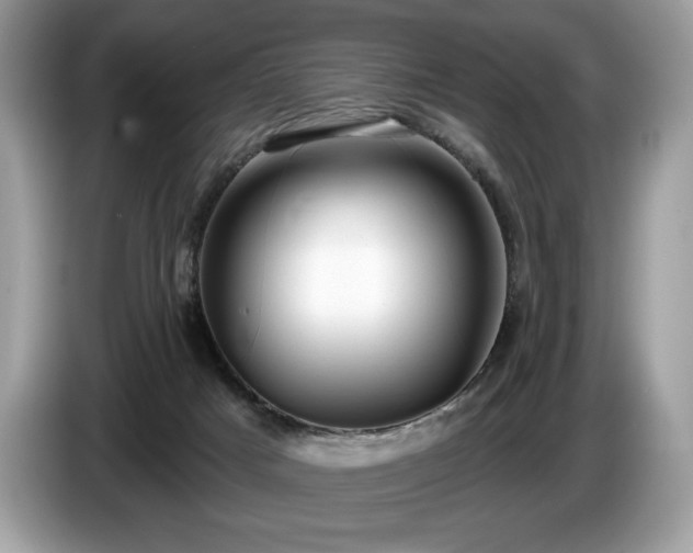 X0000087510025200704271130