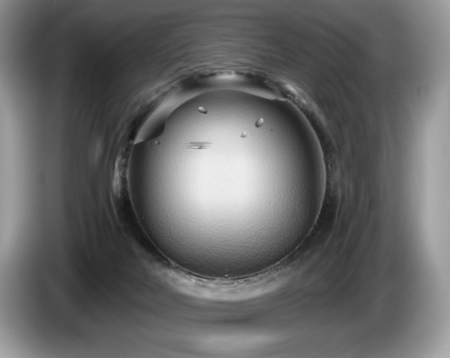 X0000087510026200704271130