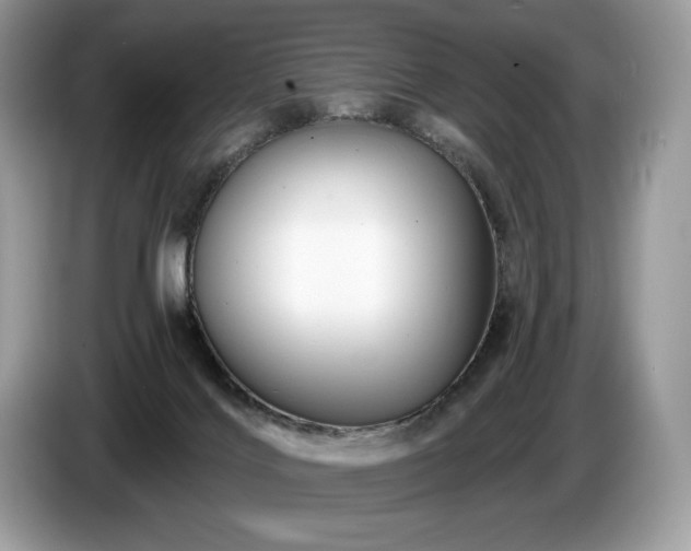 X0000087510028200704271130