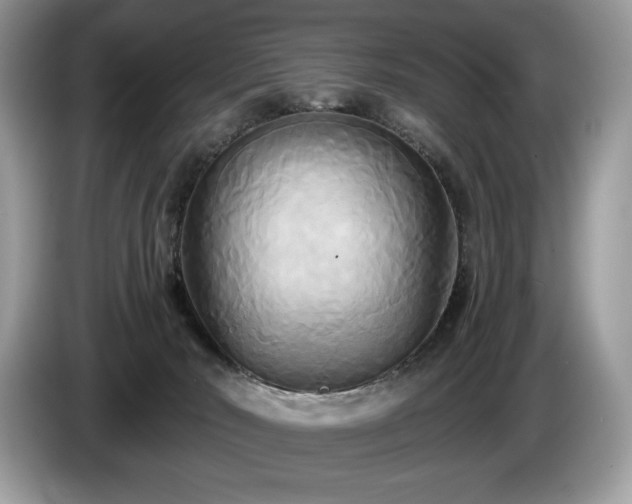 X0000087510030200704271130