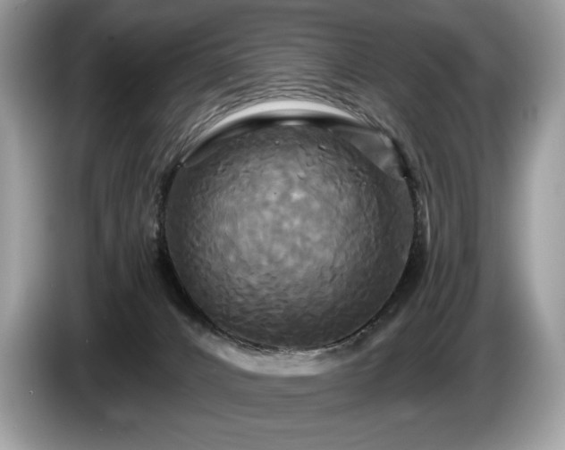 X0000087510032200704271130
