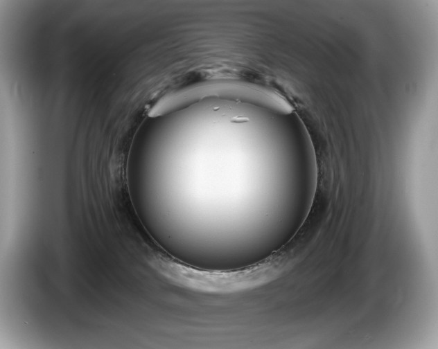 X0000087510034200704271130