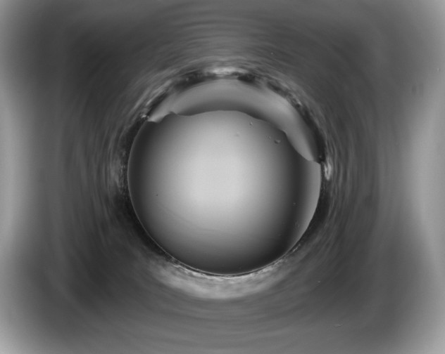 X0000087510035200704271130