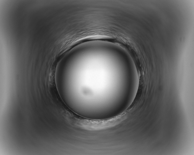 X0000087510037200704271130
