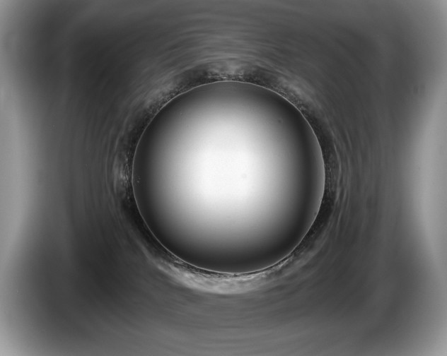X0000087510040200704271130