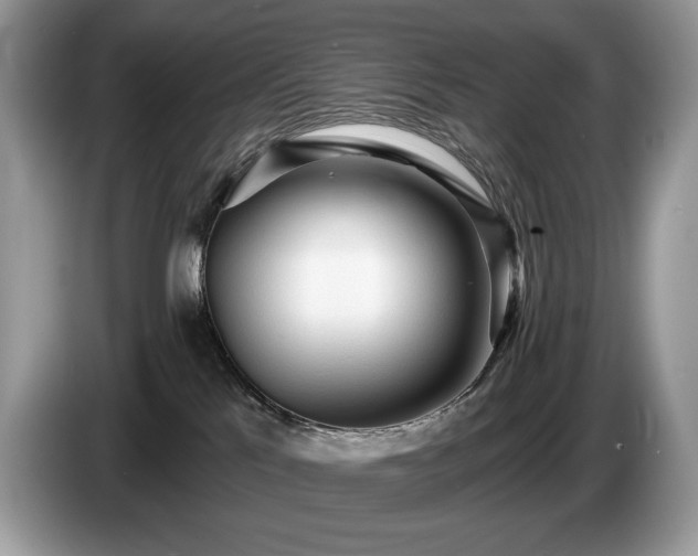 X0000087510041200704271130