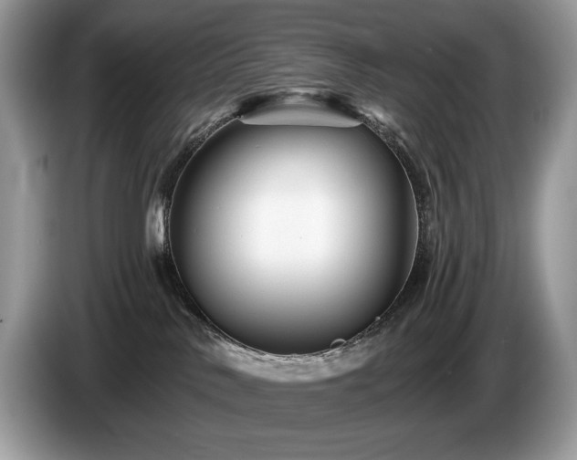 X0000087510042200704271130