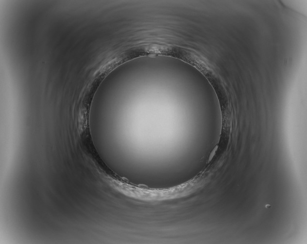 X0000087510043200704271130