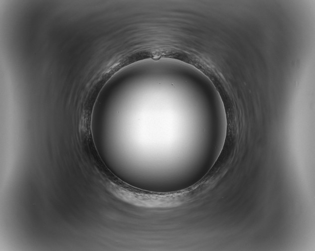 X0000087510044200704271130