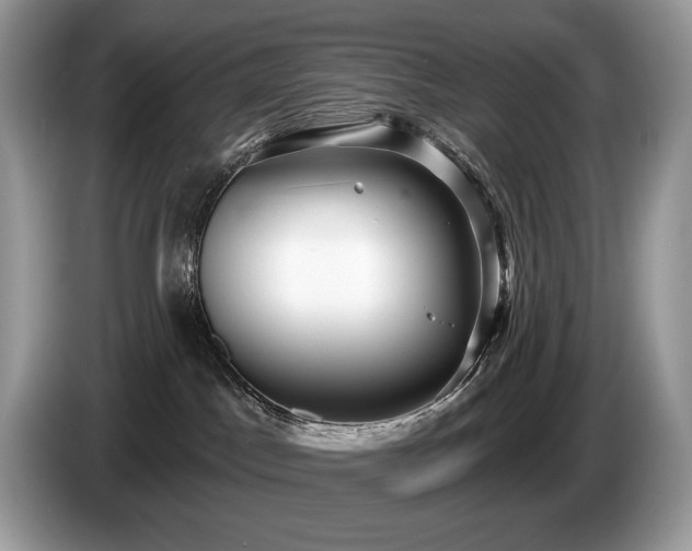 X0000087510045200704271130