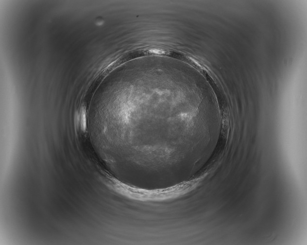X0000087510046200704271130