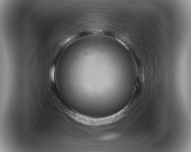 X0000087510047200704271130