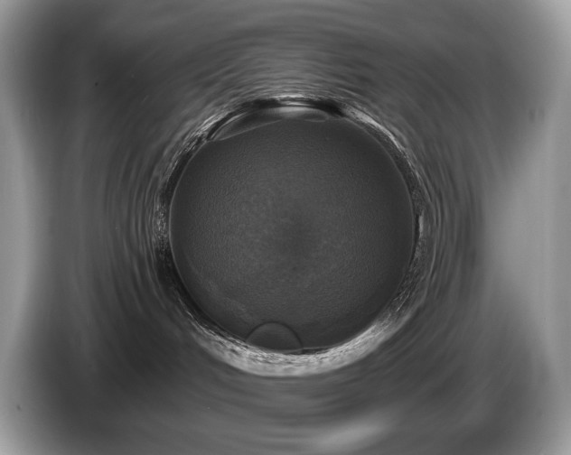 X0000087510048200704271130