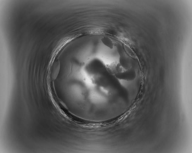 X0000087510049200704271130