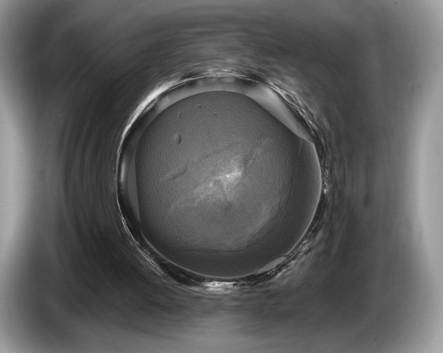 X0000087510052200704271130