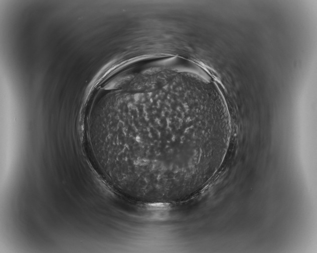 X0000087510053200704271130